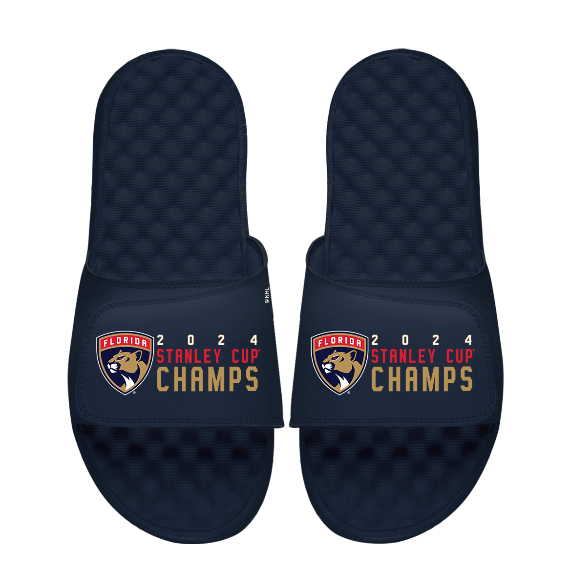 Florida Panthers 2024 Stanley Cup Champions Stack Navy Blue 11