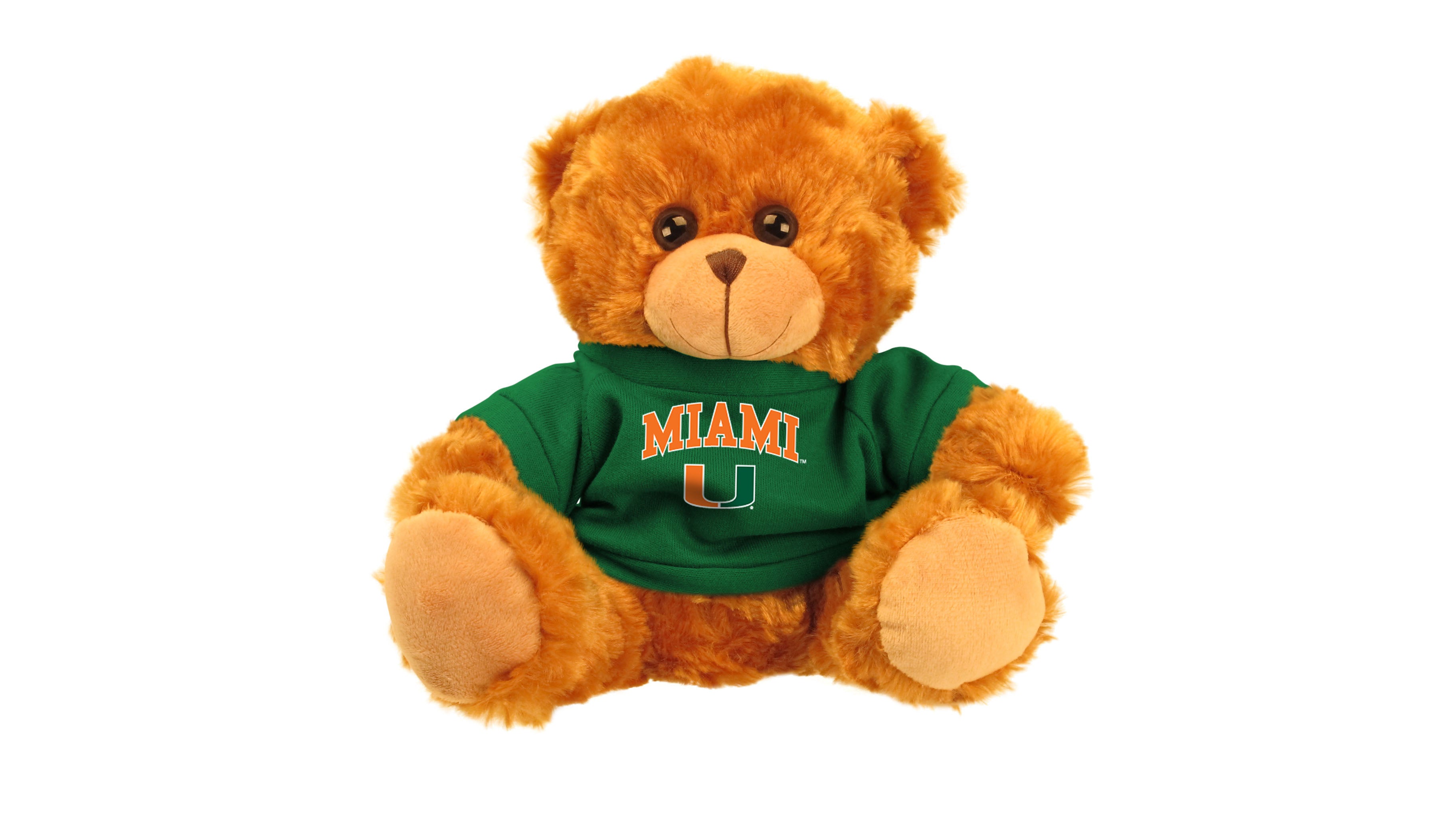 Miami Hurricanes 9 Inch Bear with T-Shirt