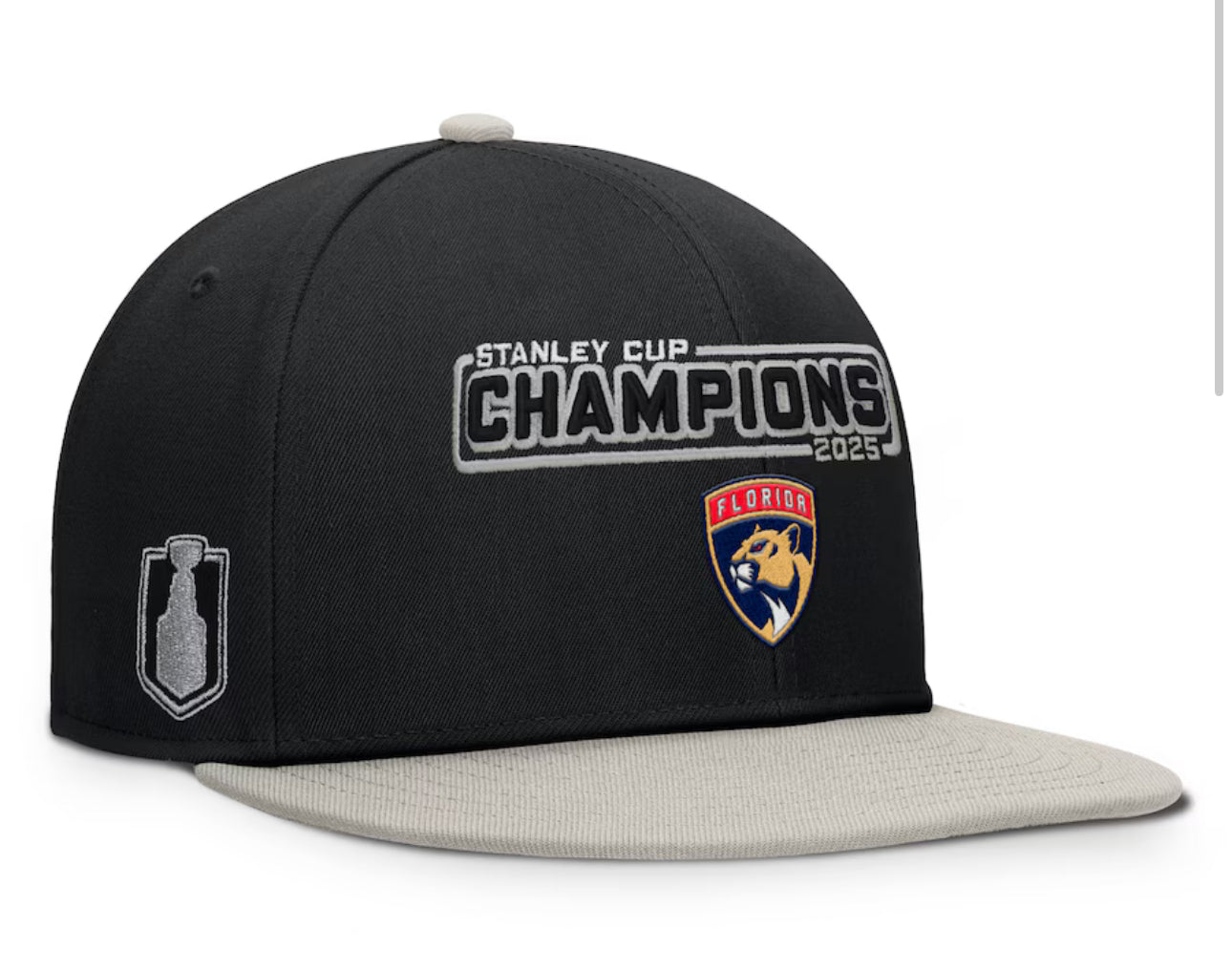 Pre-Order Florida Panthers 2025 Stanley Cup Champions Flat Brim Hat