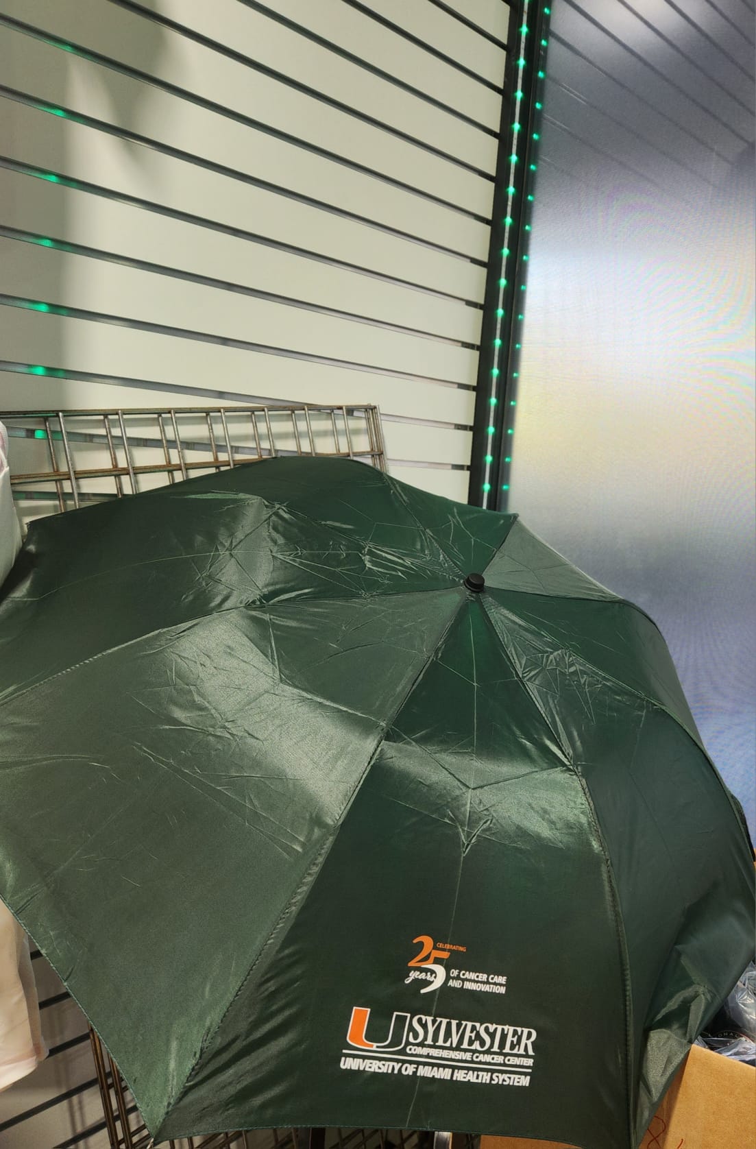 Team Hurricanes DCC Umbrella - Green