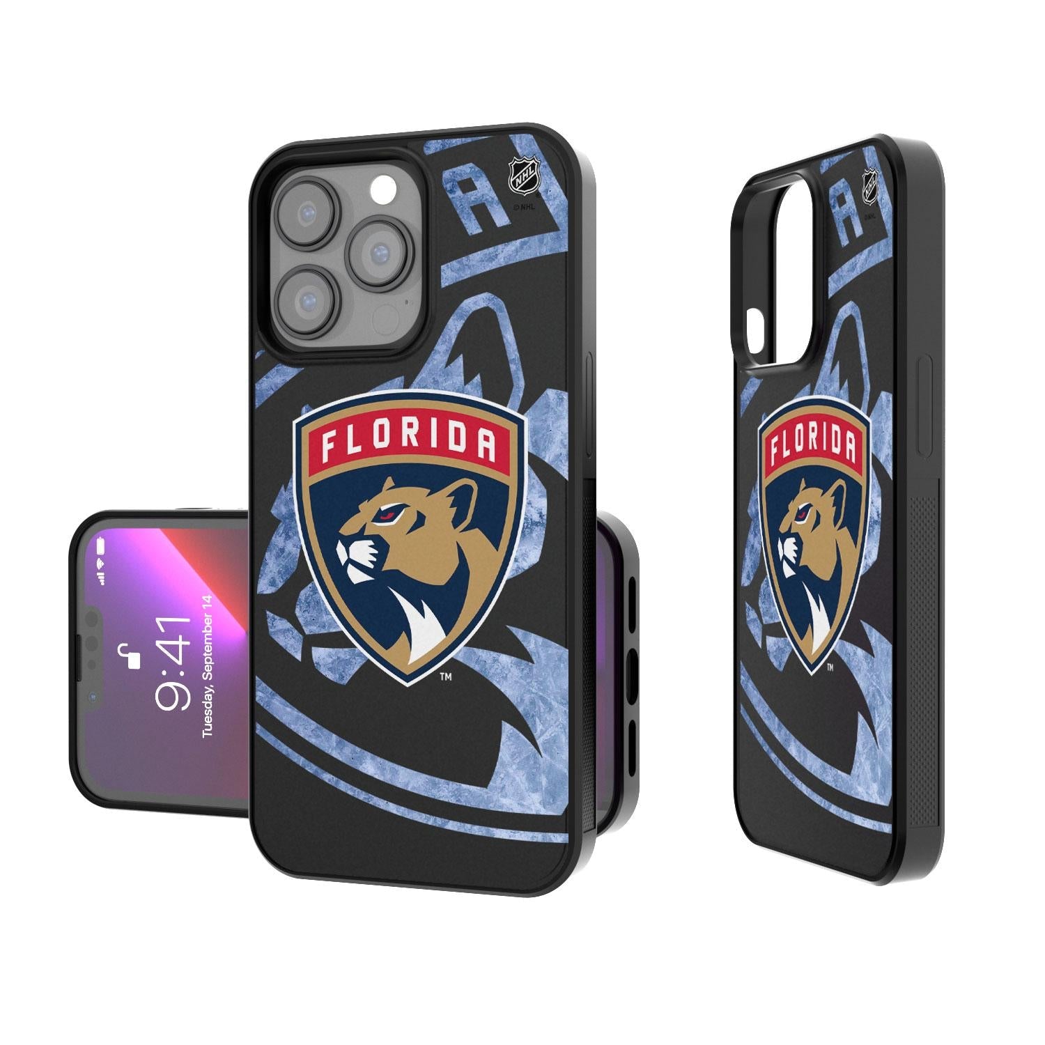 Florida Panthers Ice Tilt Bump Case