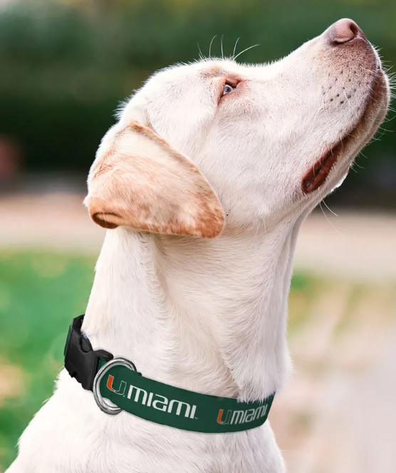 Miami Hurricanes Adjustable Dog Collar - 14-20 Inch