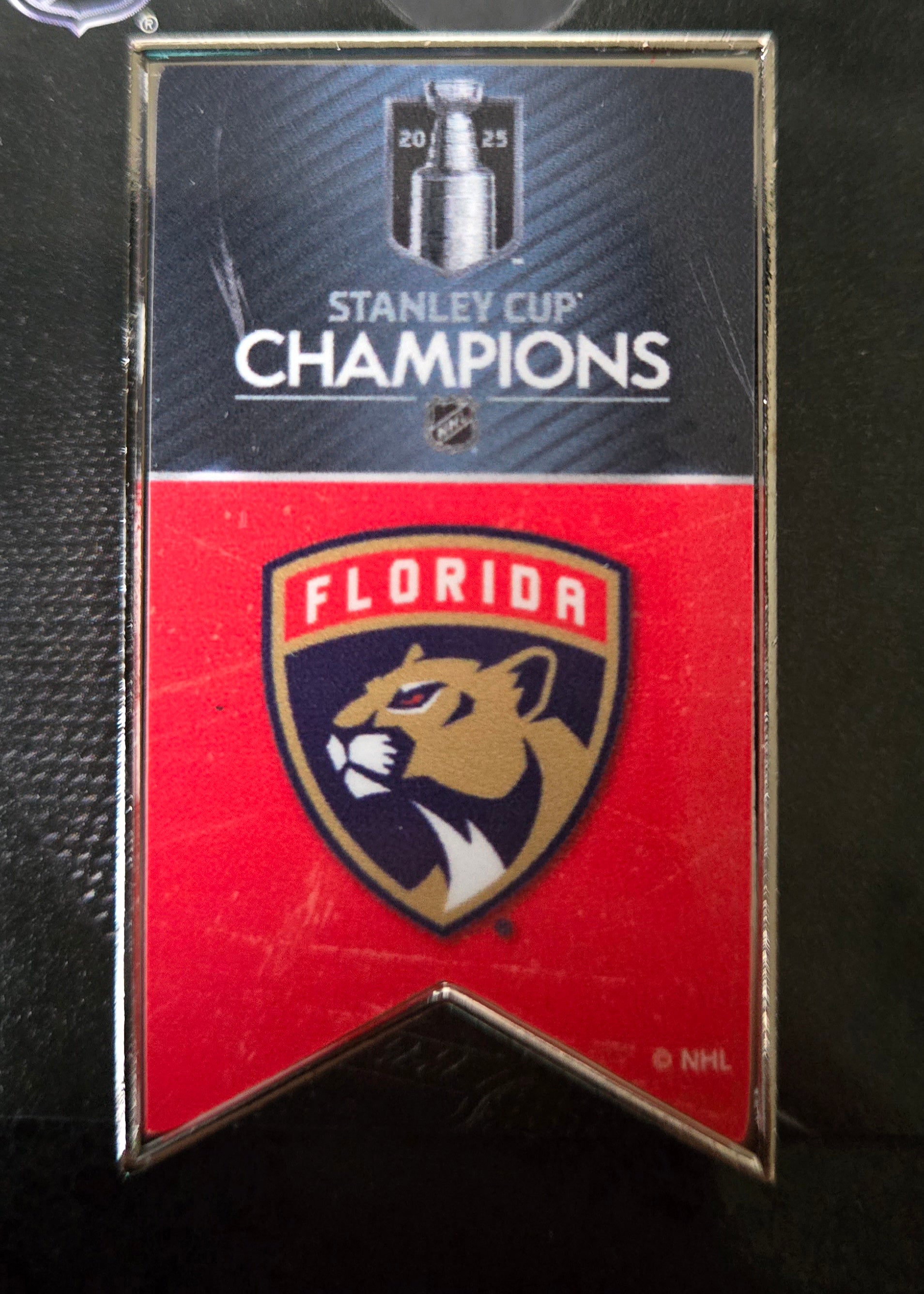 Florida Panthers 2025 Stanley Cup Champions Banner Pin