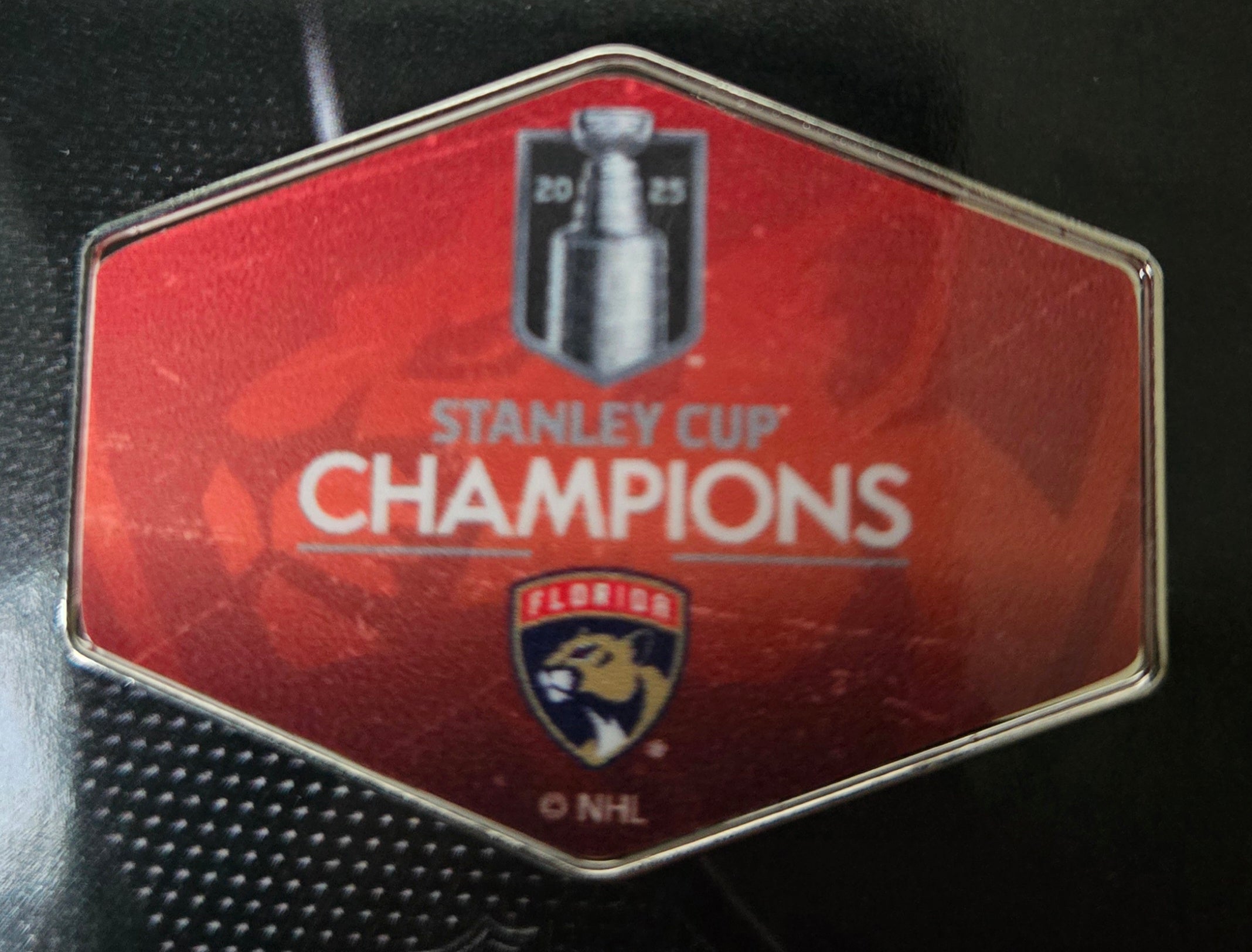 Florida Panthers 2025 Stanley Cup Champions Champs Pin
