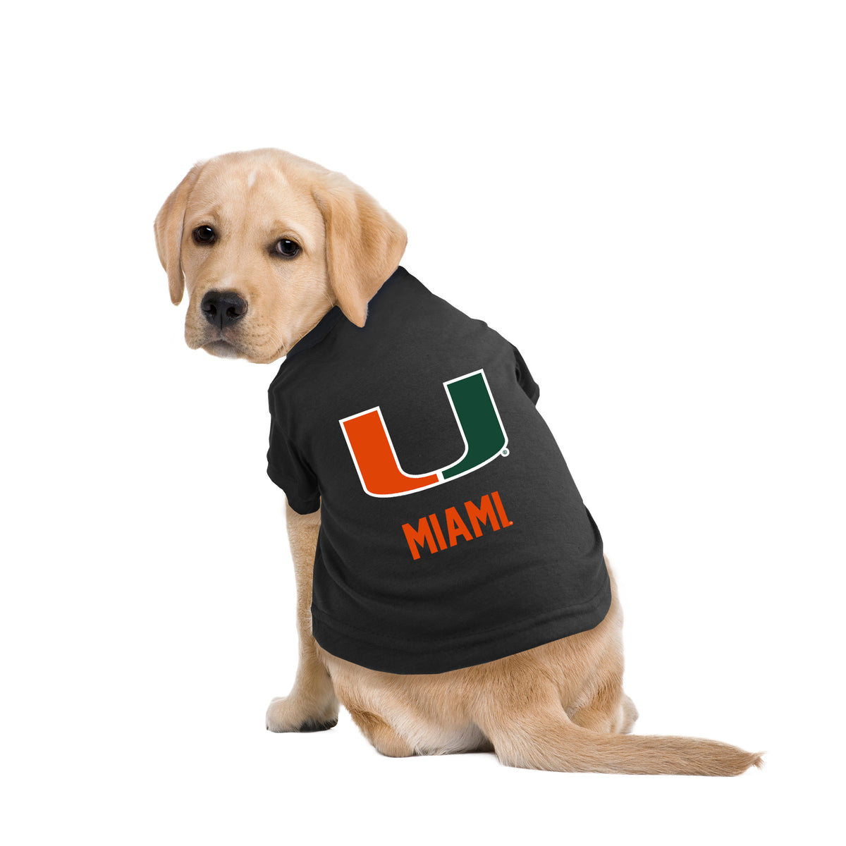 Miami Hurricanes Primary Logo Pet T-Shirt - Black