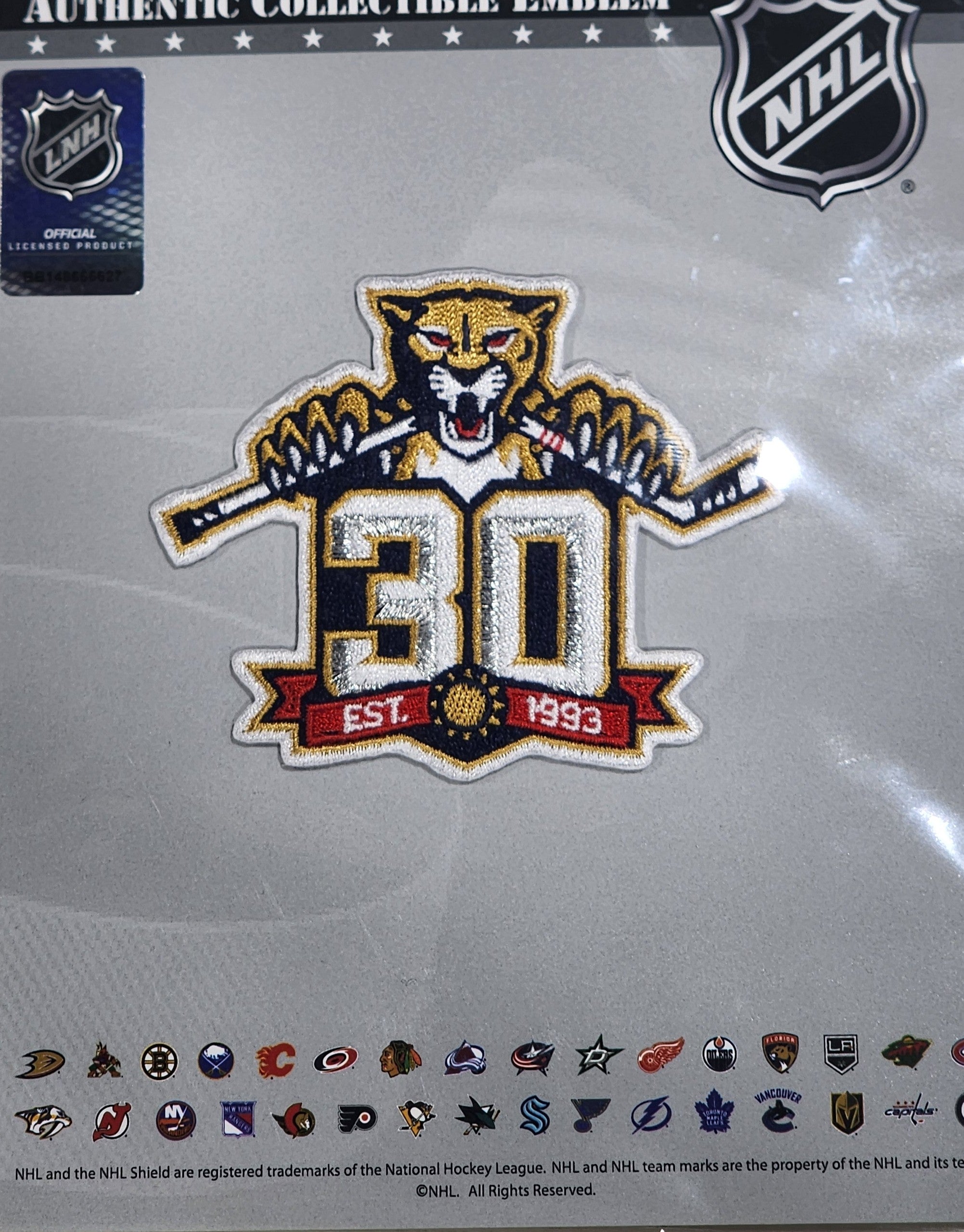 Florida Panthers 30th Anniversary Season Logo Jersey Patch