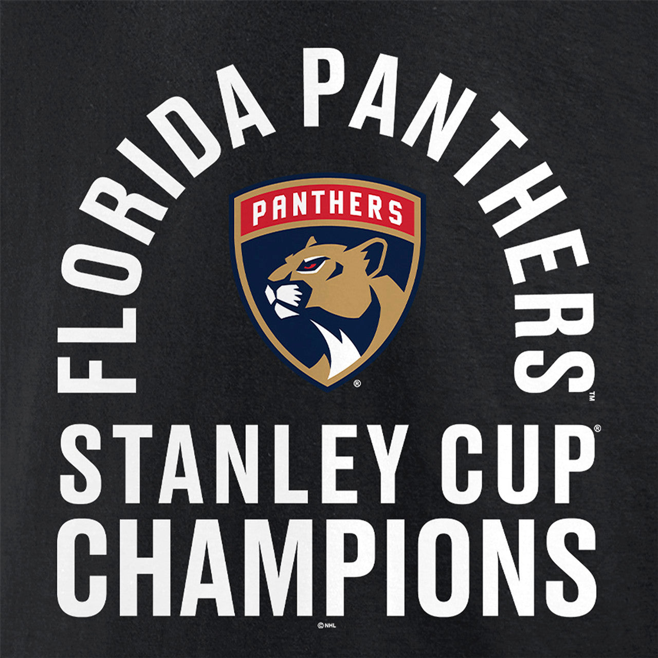 Florida Panthers Fanatics Two-Time Stanley Cup Champions Conquest Pullover Hoodie - Black