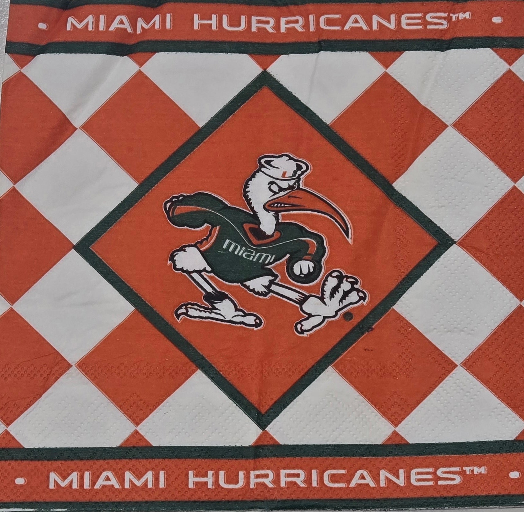 Miami Hurricanes Sebastian Paper Napkins 6" x 6"  - 25 Count