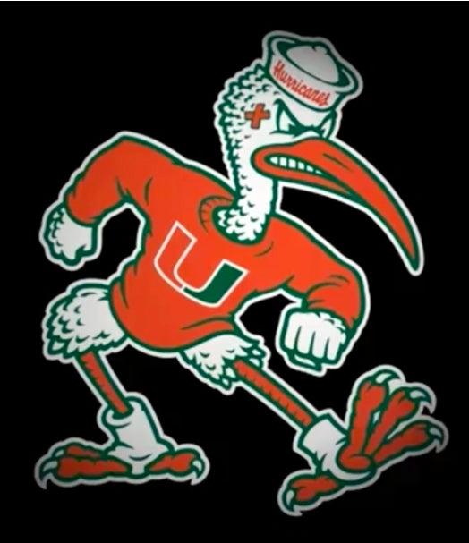 Miami Hurricanes Die Cut Sebastian Ibis Decal