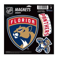 Florida Panthers Vinyl Magnet Set - 3 pc