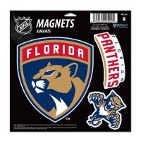 Florida Panthers Vinyl Magnet Set - 3 pc