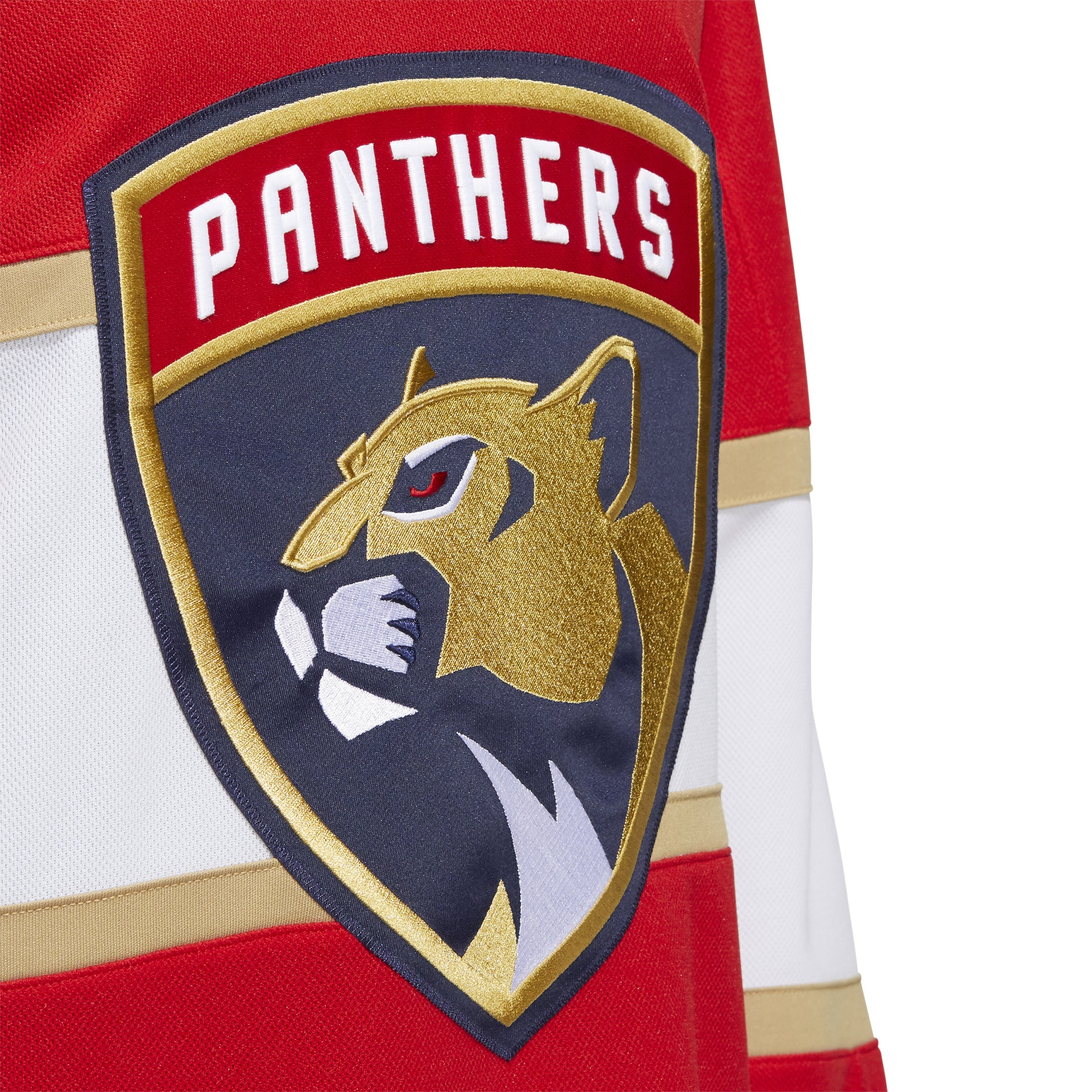 Hockey Jersey Florida Panthers | 3D model
