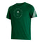 Miami Hurricanes adidas 3-Stripe Fashion T-Shirt - Green