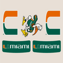 Miami Hurricanes Body Cals 2 U 2 Miami 1 Sebastian