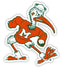 Miami Hurricanes Vintage Sebastian Ibis Wall Graphic  25"
