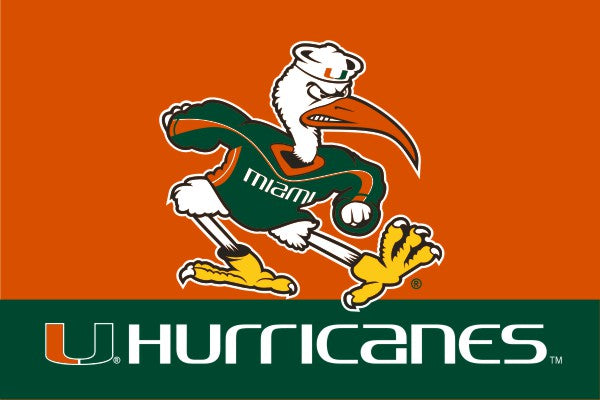 Miami Hurricanes Sebastian Car Flag - Orange