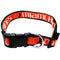 Miami Hurricanes Dog Collar - CanesWear at Miami FanWear Pet Gear Pets First CanesWear at Miami FanWear