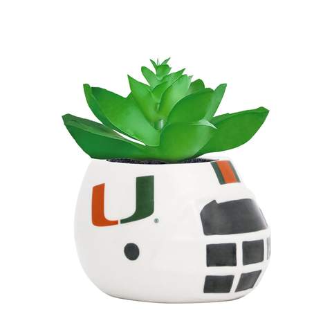 Miami Hurricanes Ceramic Helmet Planter w/Succulent