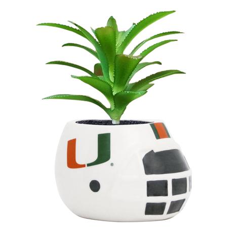Miami Hurricanes Ceramic Helmet Planter w/Succulent
