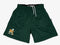 Miami Hurricanes 19Nine Retro Practice Shorts - Green