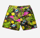 Miami Dolphins Highlights Flamingo Swimming Trunks