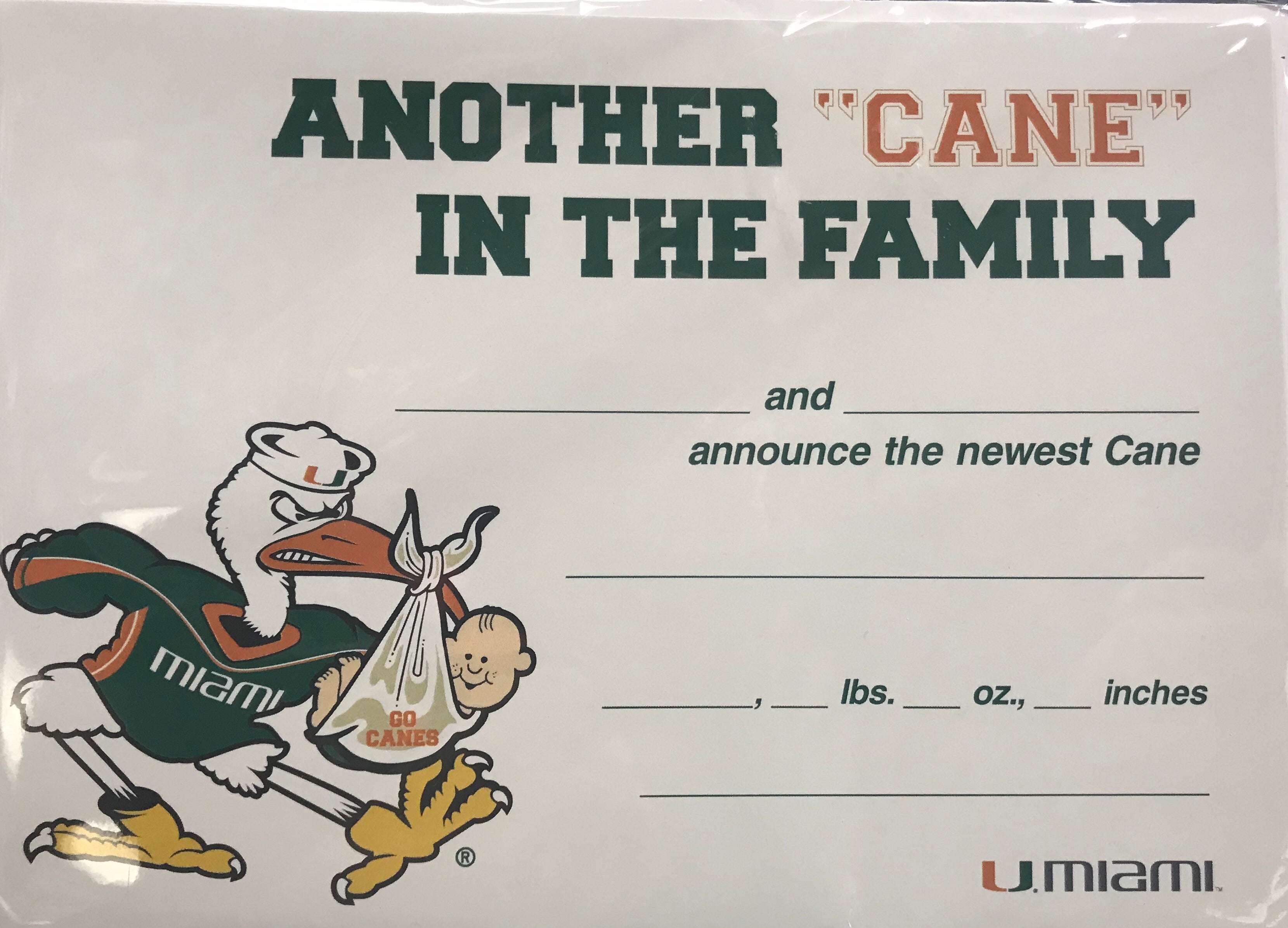 Miami Hurricanes Baby Announcements - 10 Card Pack