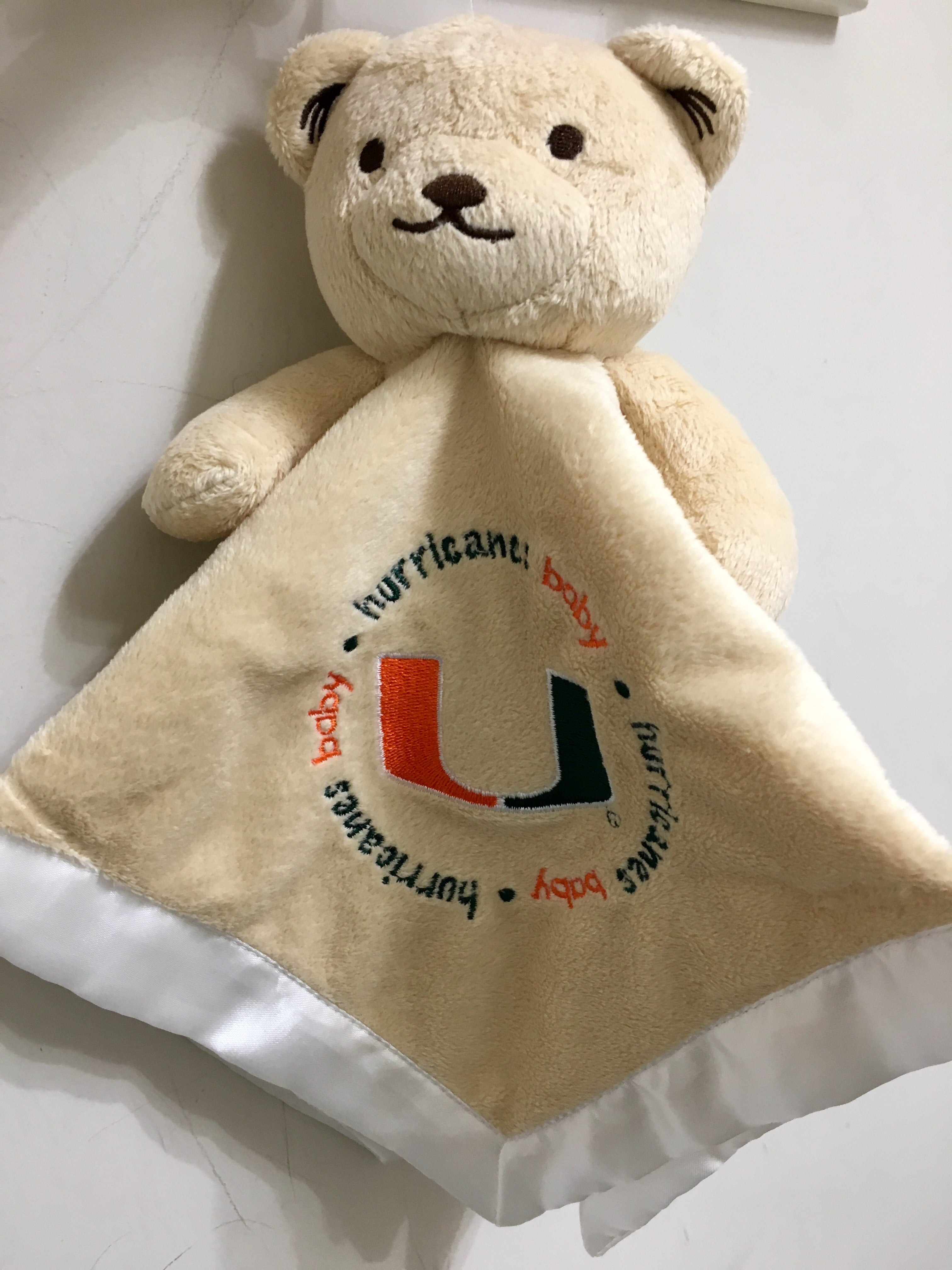 Miami Hurricanes Baby Security Bear