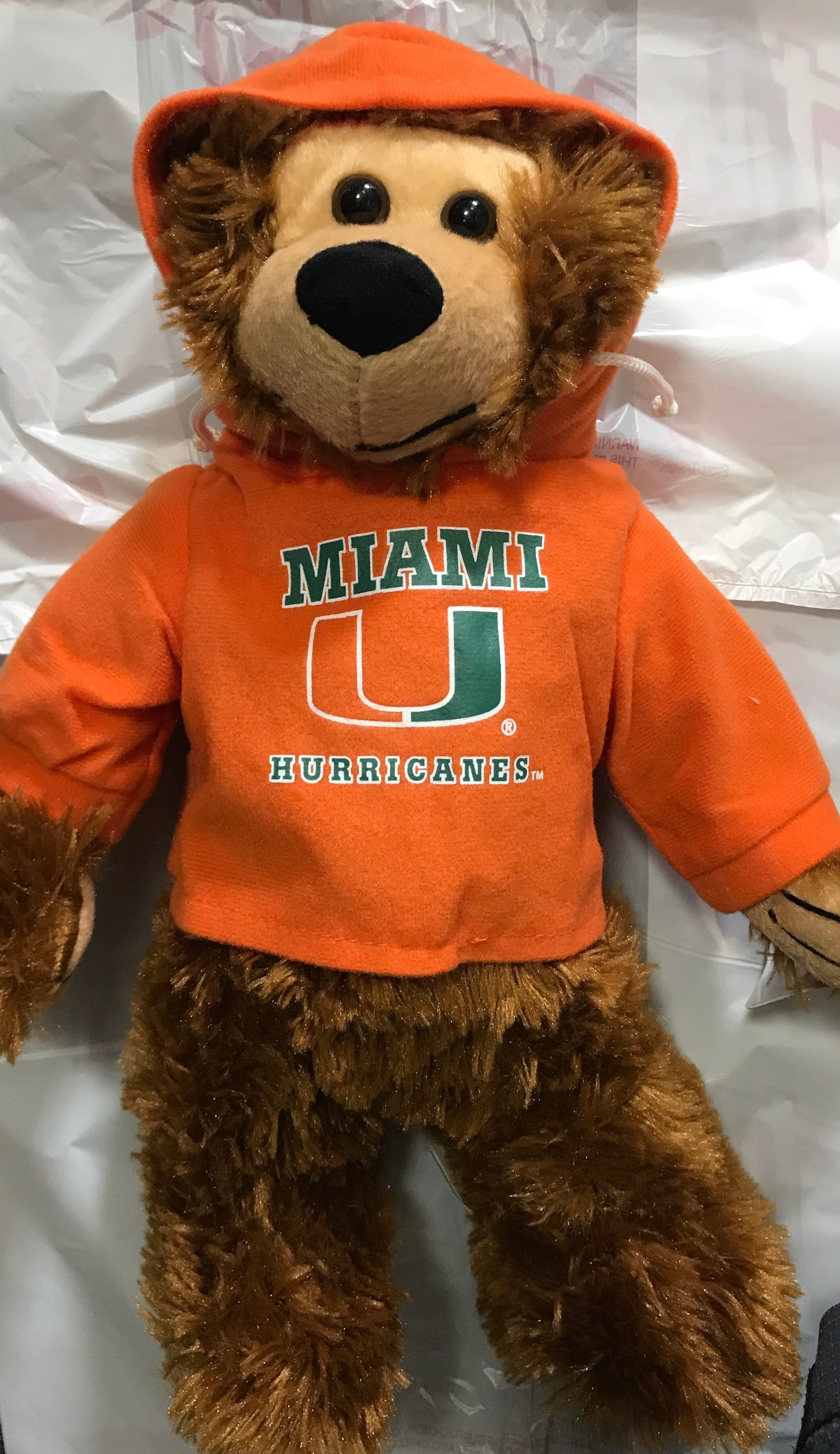 Miami Hurricanes Plush Hoodie Tedddy Bear 13" - Orange