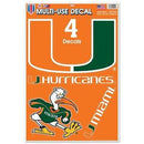 Hurricanes Multi Use Decal Large